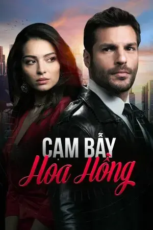Cạm Bẫy Hoa Hồng Cạm Bẫy Hoa Hồng